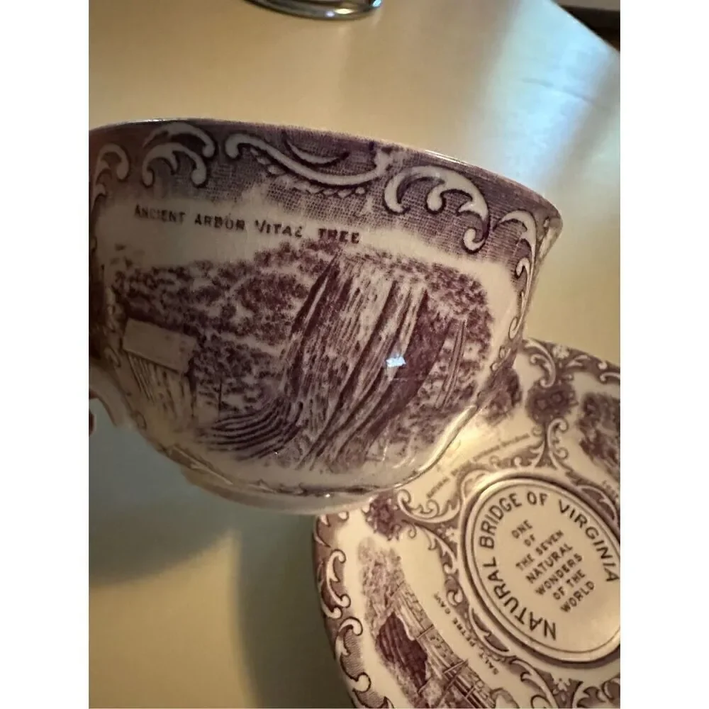 Vtg Old English Staffordshire Ware Natural Bridge Virginia Cup & Saucer Mulberry